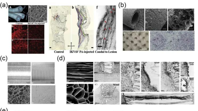 神經再生膠原支架（獨步吾奇）
